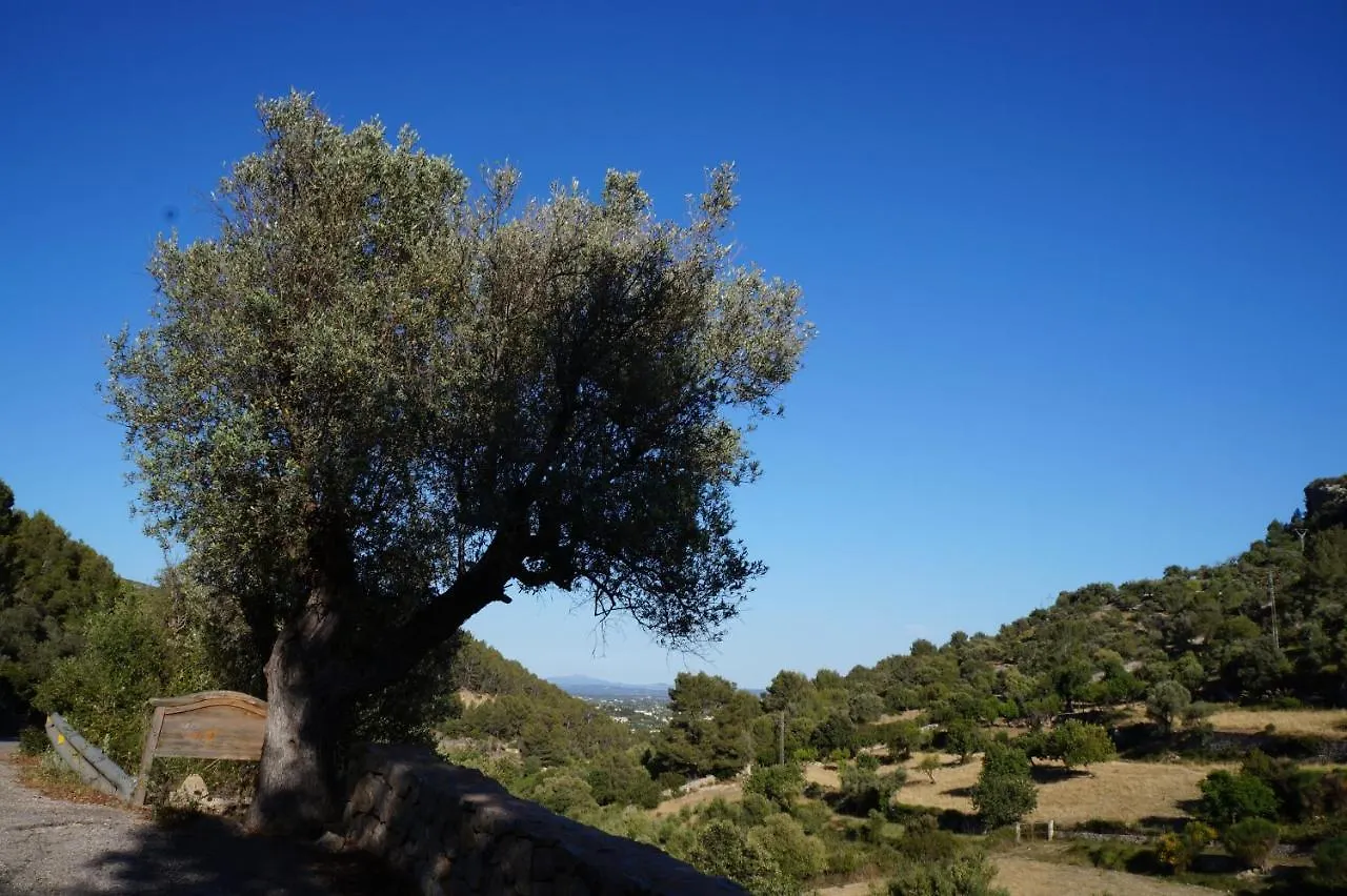 Agroturismo Finca Can Sec Alaró 0*,  Spanje