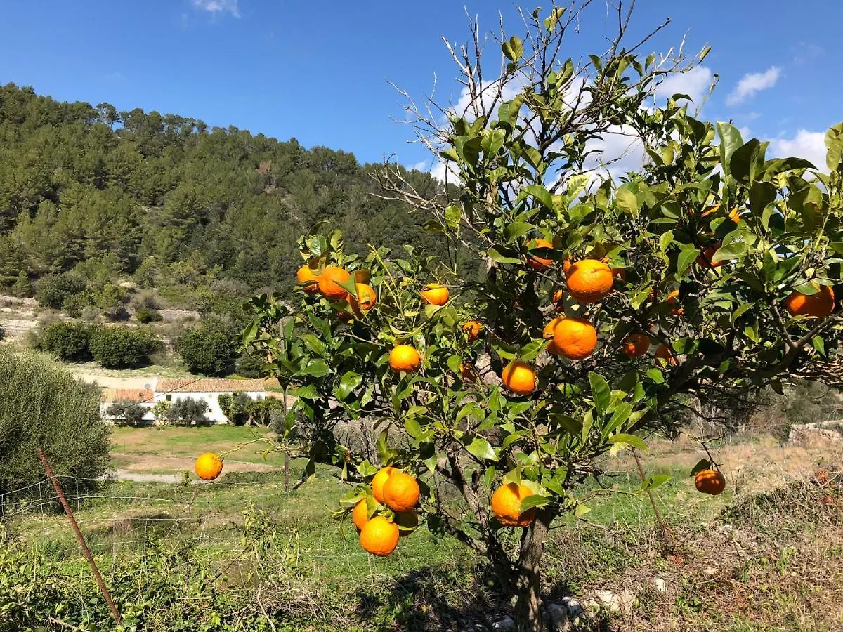 Landhuis Agroturismo Finca Can Sec Alaró