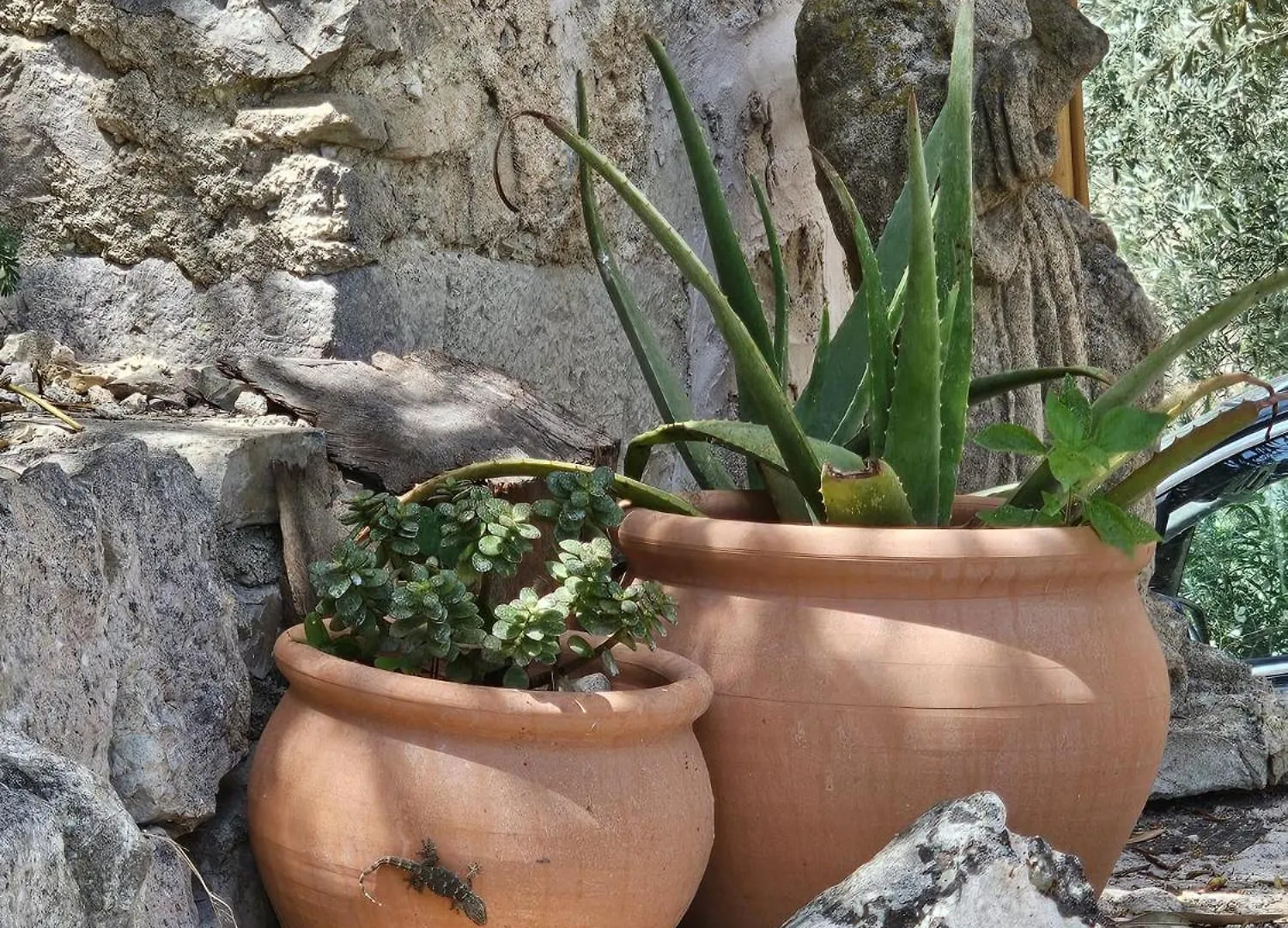 Agroturismo Finca Can Sec Alaró 0*,  Spanje